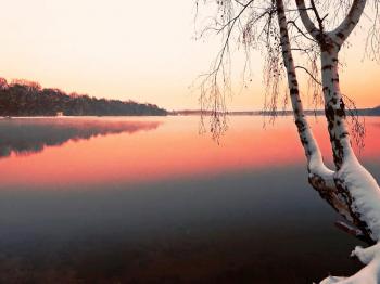 Що бачив сніг