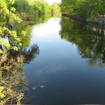 Сім Літер Всесвіту