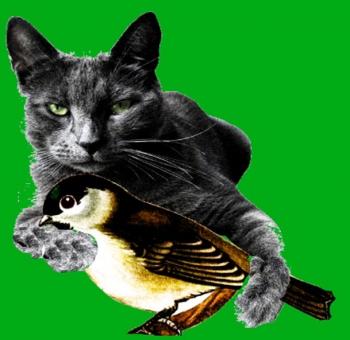 Киця та Птиця-Синиця