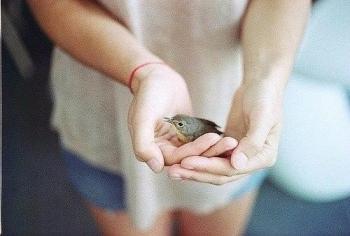 Коли самотньо і холодно