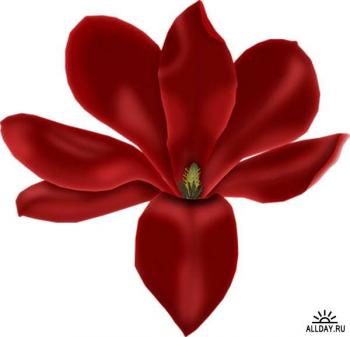 Дівочі сльози