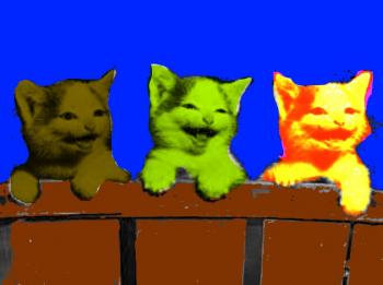 Вечірній Жах