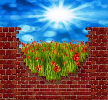 Котик Добрик 2