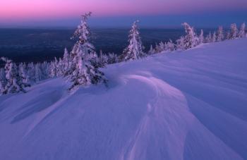 Мавка в зимовому лісі