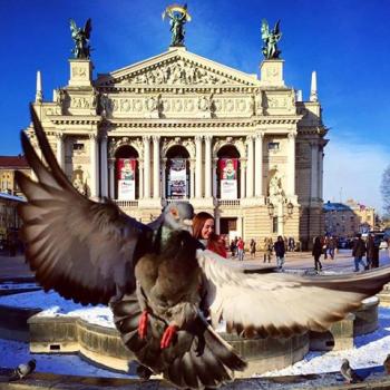 Мій Львів...