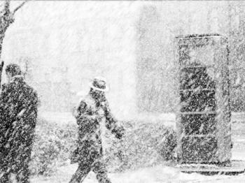 А ти все виєш...