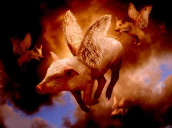 Про Свинку – Пушинку