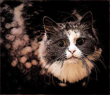 Киця Мура – Екзорцист