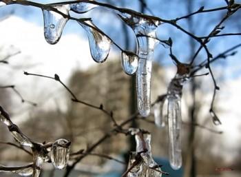 Плаксивый февраль