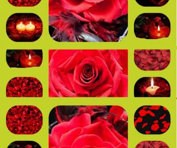 Пелюстки Троянд