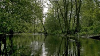 Княжна Удай