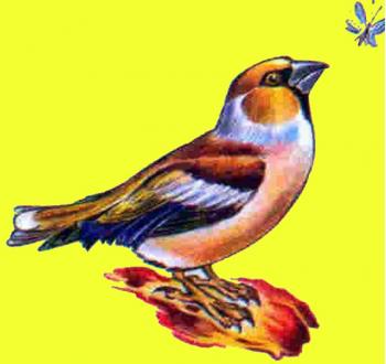 Маленька Пташка