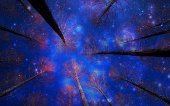 Тіні зоряних снів