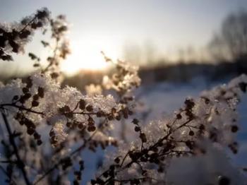 Лютий доживав свого віку