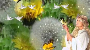 Танок на світанні