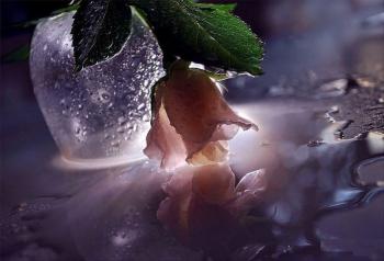 Ой ти місяцю ясний