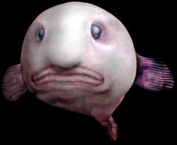 На далекій планеті…