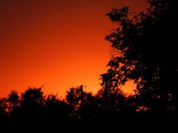 Обновив дыхание,  природа...