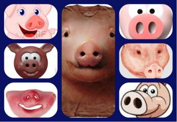 Владожерці