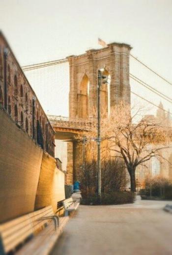 Ти - забута муза чужих океанів...