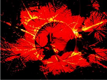 Між Світами