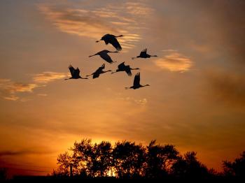 Ностальгия