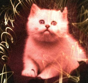 Грізна Киця Пуся