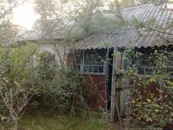 В`ється вулиця рідненька