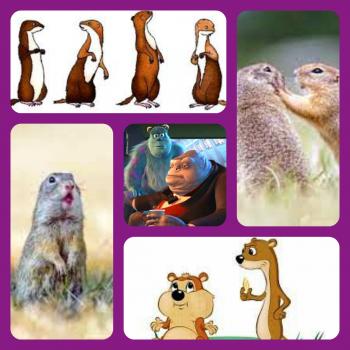 Пісенька Ховрашків