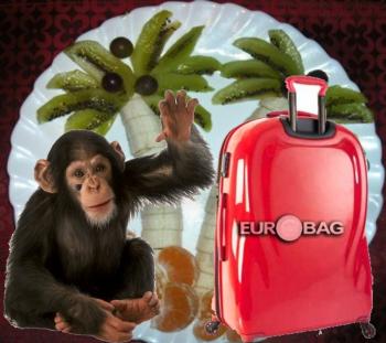 Мавпеня на Пальмі