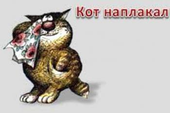 «Кіт наплакав»