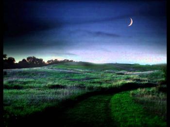 Травнева ніч