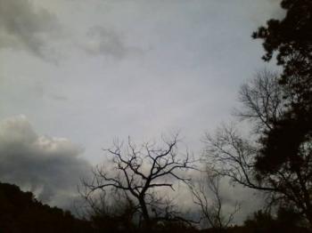 Дорога життя