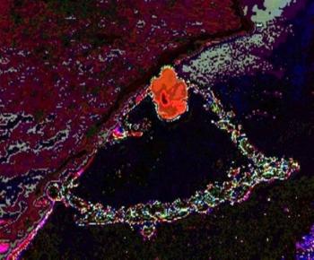 Кохання – Жарт