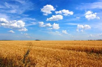 Відповідь Прем’єру