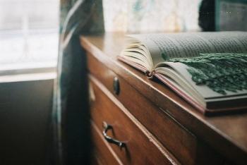 Я закохалась у його весну