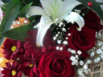 Співайте,  мамо!