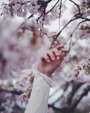 Хочеш, я буду тебе любити?