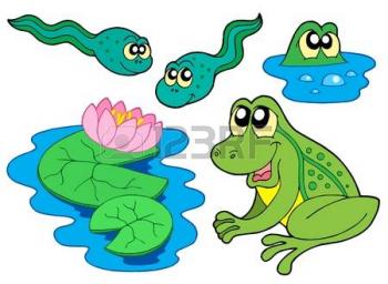 Хто у мене в банці?