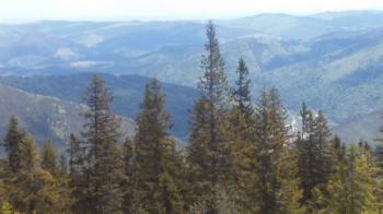 Коли я не сама