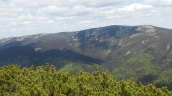 Дозволь забувати