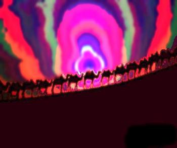 Караван Баши