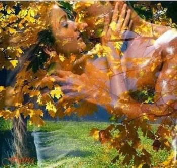 Березонька- дівчина молода