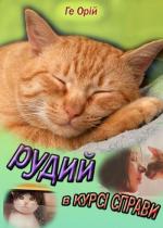 Рудий в курсі справи