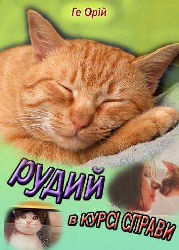 Рудий в курсі справи