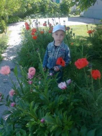 Кого люблю,  кого шаную