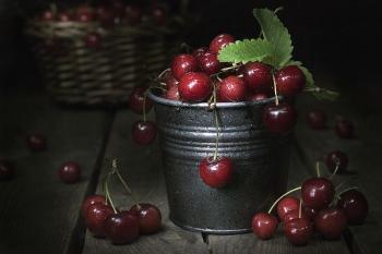 Стиглі  черешні...