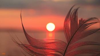 Гламурна ніч