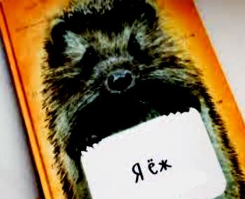 Недоторканість