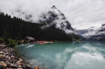 Лети,  моя пташко